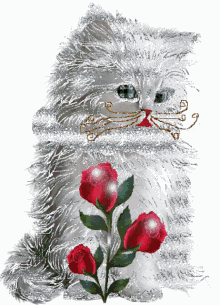 Cat Kitty GIF - Cat Kitty Rose GIFs