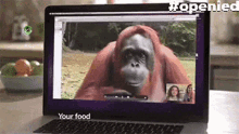 palm oil free palm oil orangutan palm oil free palm oil orangutan