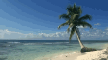 Tropical Beach With Blue Sky White Sand GIF - Relaxing Beach Beach Life GIFs