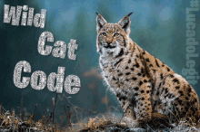Lucado Sus Wild Cat Code GIF - Lucado Sus Wild Cat Code Wild Cat GIFs