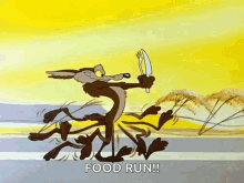 Wile Coyote GIF - Wile Coyote Looney GIFs