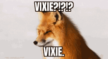 Vixie Fox GIF - Vixie Fox Poggers Girl GIFs