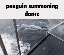 Penguin Summon GIF - Penguin Summon Dance GIFs
