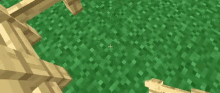 Removing Grass Minecraft GIF - Removing Grass Grass Minecraft GIFs