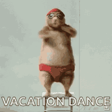Vacation Funny Animals GIF - Vacation Funny Animals Dance GIFs