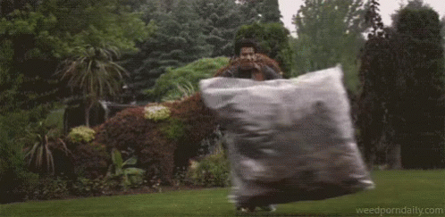 harold and kumar go to white castle gif