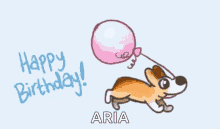 happy birthday balloon dog run aria