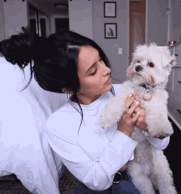Pet Dog GIF Pet Dog Doggo Discover & Share GIFs