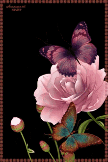 Rose Butterfly GIF - Rose Butterfly Sparkle GIFs