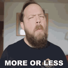 More Or Less Ryan Bruce GIF - More Or Less Ryan Bruce Fluff GIFs