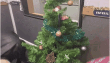 jay james hal stewart decorating bfbs christmas tree