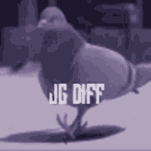 Jddiff GIF - Jddiff GIFs
