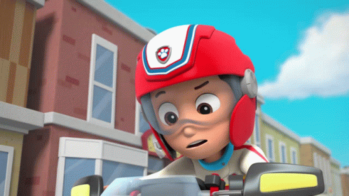 paw patrol ryder helmet