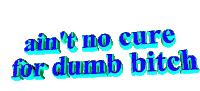 No Cure Dumb Bitch Sticker - No Cure Dumb Bitch Stickers