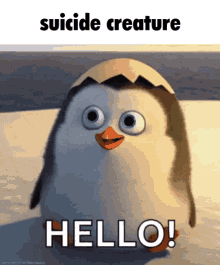 hello hi cute penguin olmate