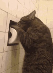 toilet bathroom