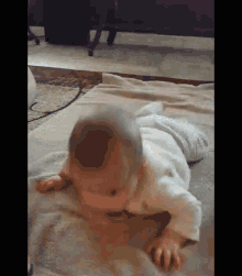 qwertyuiop felicity kate miller crawl cute