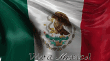 Viva Mexico Bandera Mexicana GIF - Viva Mexico Bandera Mexicana GIFs