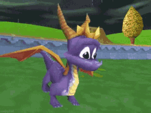 dragon spyro