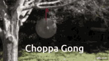 Choppa Mald Gong GIF - Choppa Mald Gong Smash GIFs