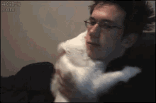 Give Me Hugs GIF - Hug Your Cat Day Hugs Pet GIFs