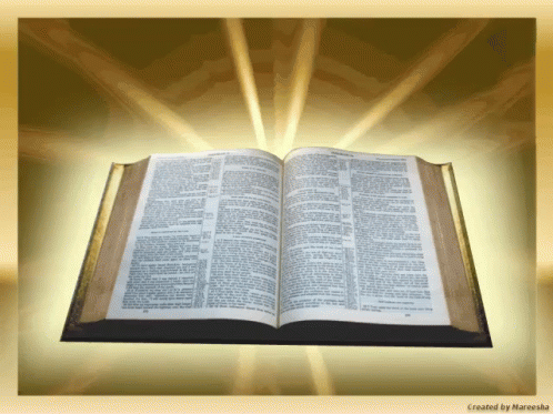 Holy Bible GIFs | Tenor