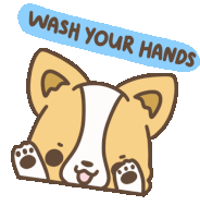 Funny Cute Sticker - Funny Cute Dog Stickers