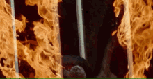 glass house music video mgk machine gun kelly flames glass house music video mgk machine gun kelly flames