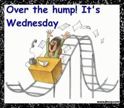 Hump Day Wednesday Gif Hump Day Wednesday Work Discover Share Gifs