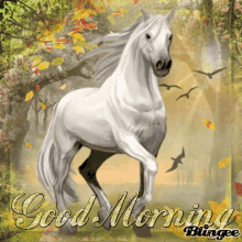 Horse Blessed GIF - Horse Blessed Day GIFs