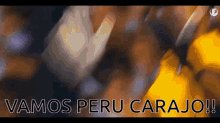 Vamos Peru Pedro Gallese GIF - Vamos Peru Pedro Gallese Arquero GIFs