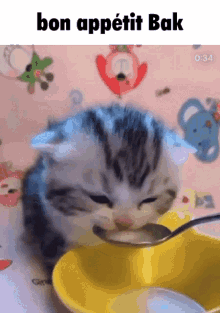 Bak Bak Cat GIF - Bak Bak Cat Bon Appetit Bak GIFs