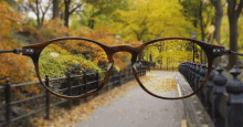 November Leaves GIF - November Fall Eye Glass GIFs