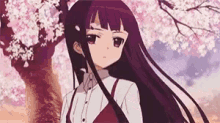 anime sakura windy hair long hair