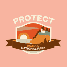 Protect More Parks Camping GIF - Protect More Parks Camping Me GIFs