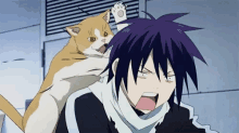 Noragami Anime GIF - Noragami Anime Cats GIFs