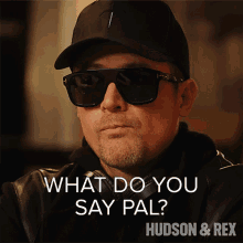 What Do You Say Pal Charlie Hudson GIF - What Do You Say Pal Charlie Hudson Hudson And Rex GIFs