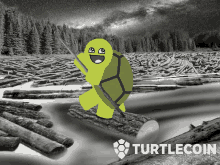 Turtlecoin Logger GIF - Turtlecoin Turtle Logger GIFs