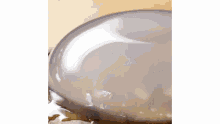 foodiegram food
