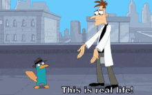 Real Life Phineas And Ferb GIF - Real Life Phineas And Ferb Doofenshmirtz GIFs