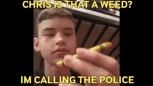 911 Chris Is That A Weed GIF - 911 Chris Is That A Weed A Weed GIFs