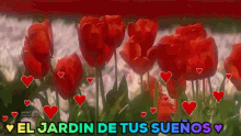 Flores Rojas Garden GIF - Flores Rojas Garden Roses GIFs