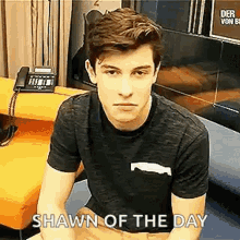 Shawn Mendes Shawn Of The Day GIF - Shawn Mendes Shawn Of The Day Handsome GIFs