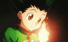 Gon Freecss Playing Fire GIF - Gon Freecss Playing Fire Happy GIFs