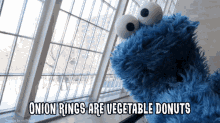Sesame Street Cookie Monster GIF - Sesame Street Cookie Monster Onion Rings Are Vegetable Donuts GIFs