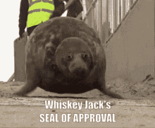 Whiskeyjackssealofapproval GIF - Whiskeyjackssealofapproval GIFs