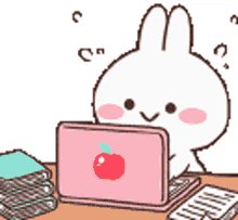 bunny work