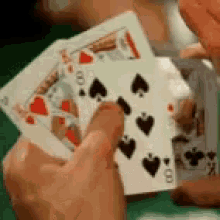 Bluff Playing Cards GIF - Bluff Playing Cards GIFs