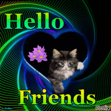 Hello Friends Hi GIF - Hello Friends Hi Hello GIFs