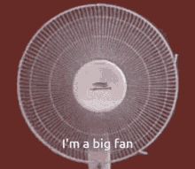 Fan GIF - Fan GIFs